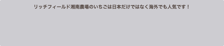 リッチフィールド湘南農場のいちごは日本だけではなく海外でも人気です！